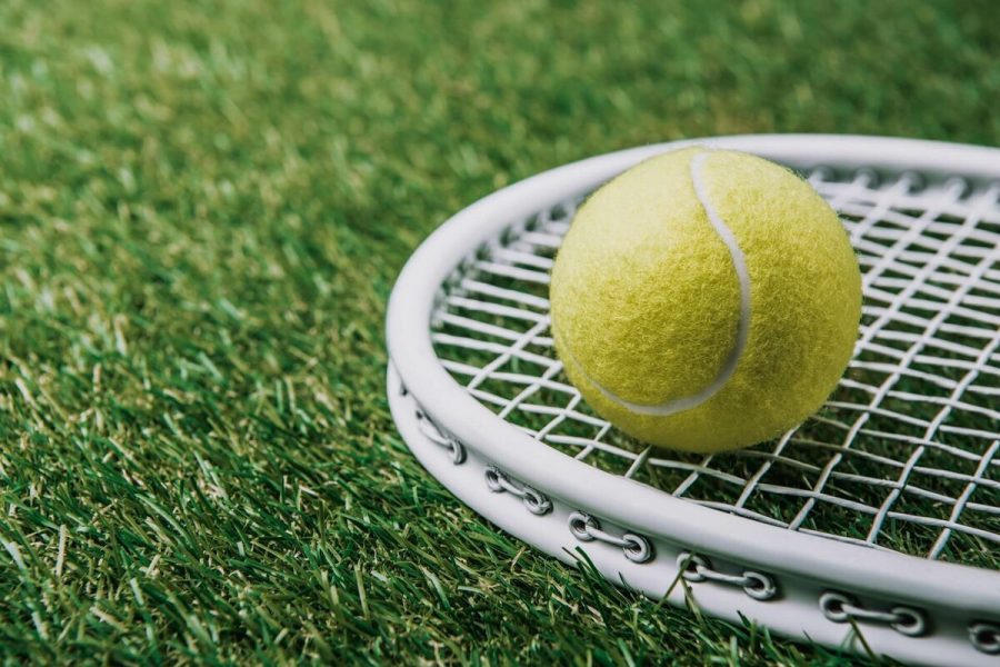 Clay, hard, grass or indoor: how the surface changes your game plan